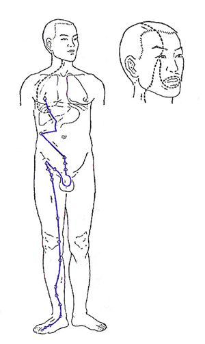 meridiano-figado-ponto-f3-acupuntura